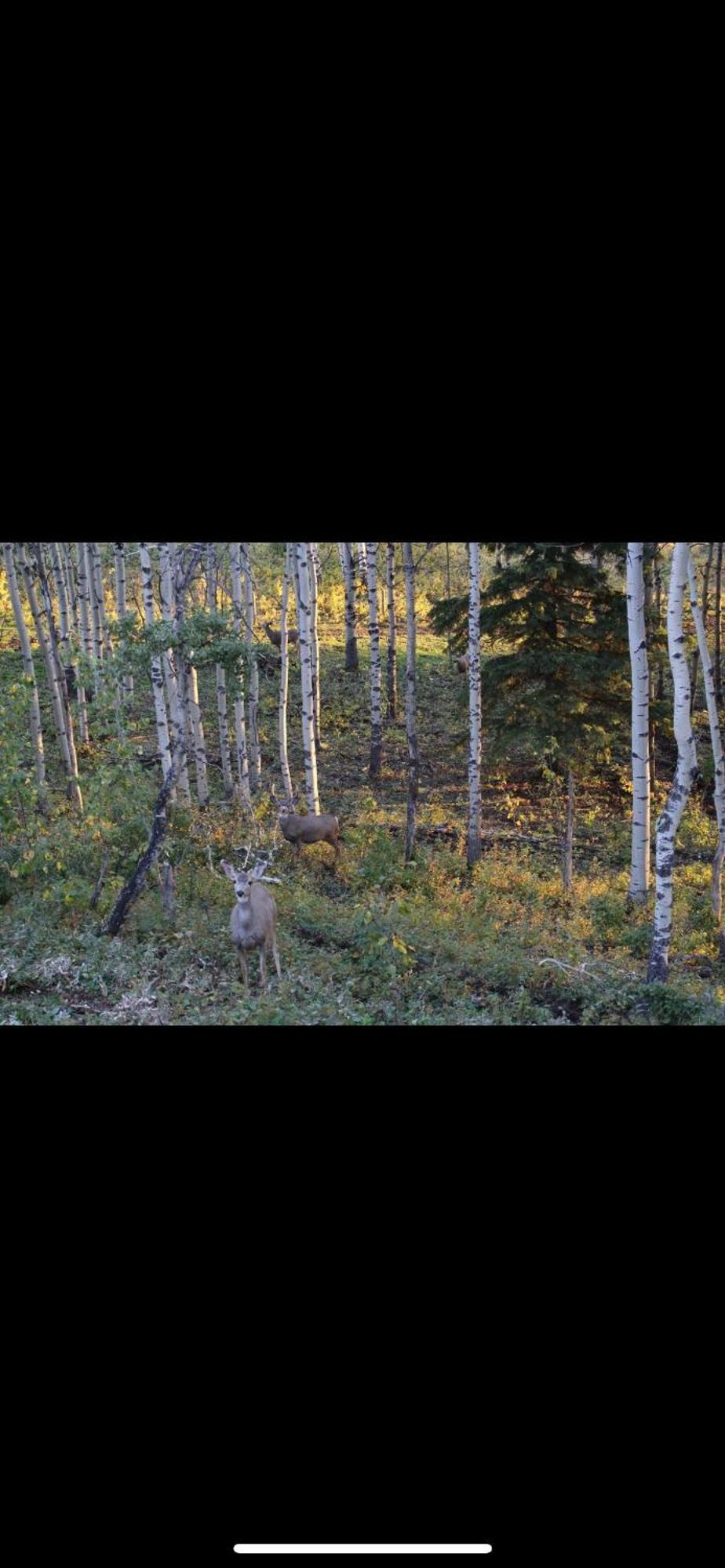 Priddis Heart West Havenヴィラ エクステリア 写真